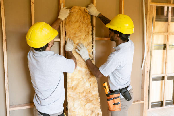 Best Batt and Roll Insulation in Aliquip, PA