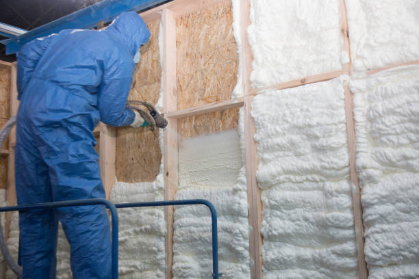 Best Attic Insulation Installation in Aliquip, PA